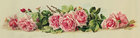 玫瑰花装饰图案